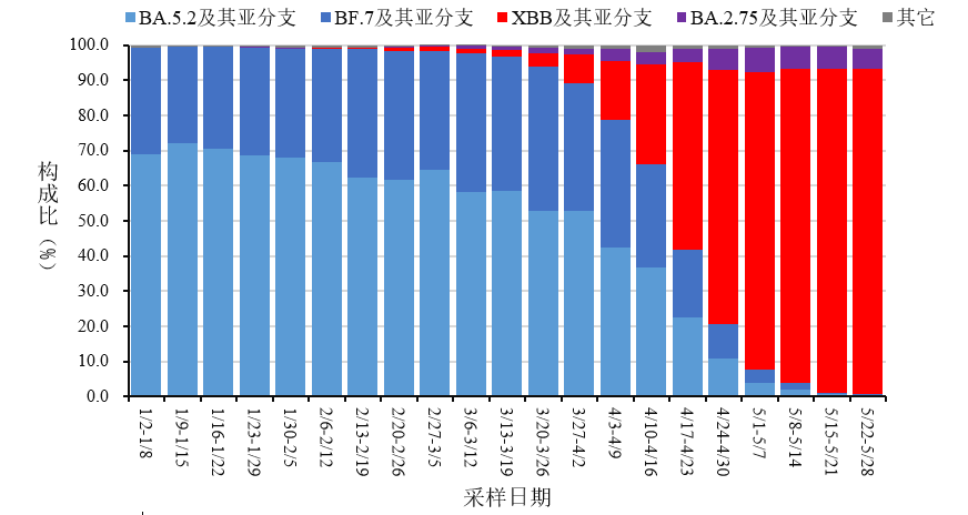 新疆疫情最新動態(tài)，自然療愈之旅助力重拾內(nèi)心寧靜與微笑