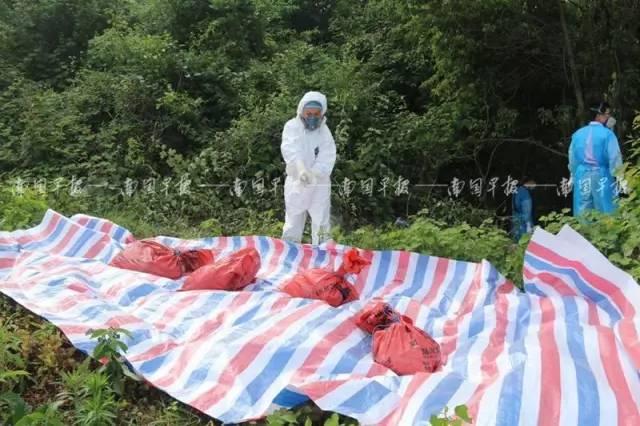 廣西自然美景治愈之旅，探索自然魅力的探索之旅